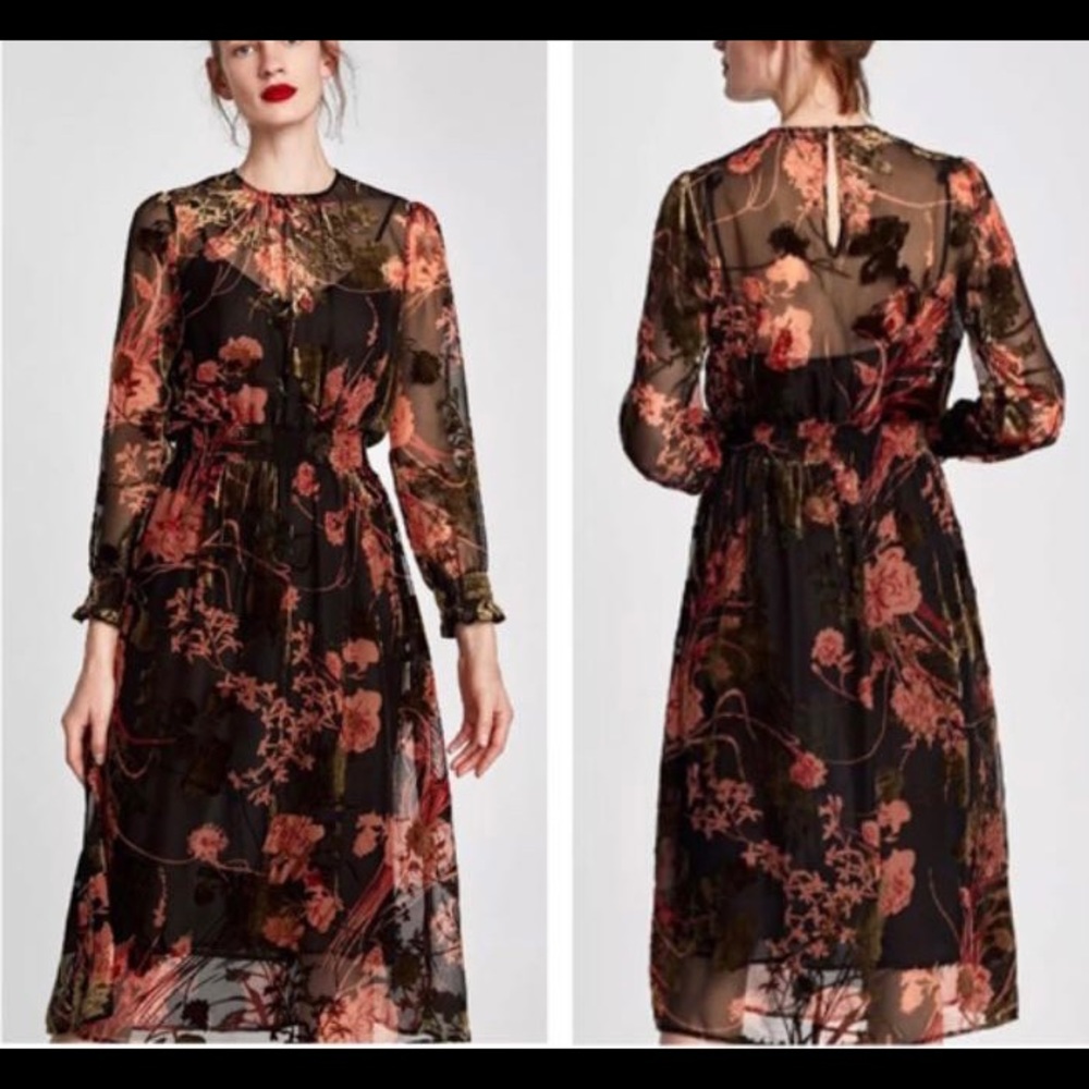 Zara Long Sleeve Midi Dress